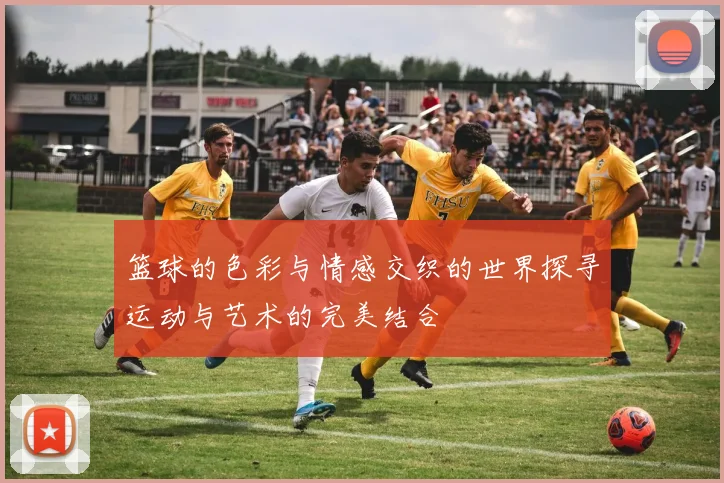 篮球的色彩与情感交织的世界探寻运动与艺术的完美结合