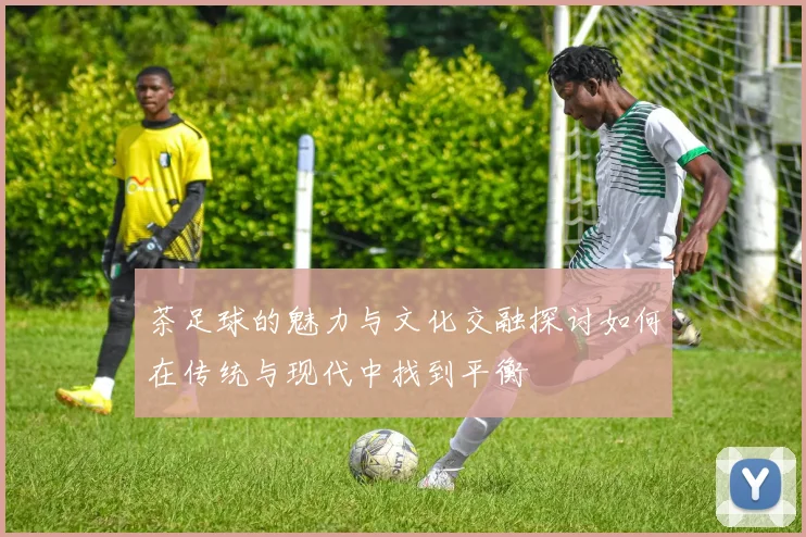 茶足球的魅力与文化交融探讨如何在传统与现代中找到平衡